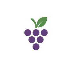 Vigne, Raisin de table Galanth
