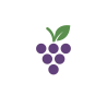 Vigne, Raisin de table Galanth